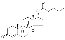 Testosterona esteroide anabólica Isocaproate do pó para o halterofilismo CAS 15262-86-9 0
